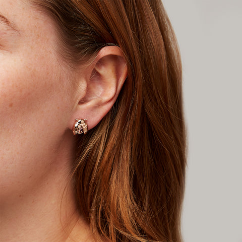 Ladybird Rose Gold Stud Earrings