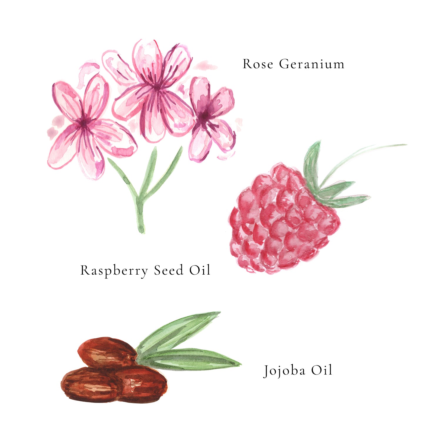 RADIANCE Organic & Natural Rose Geranium Sugar Lip Scrub with Raspberry Seed Oil