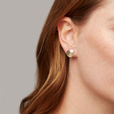 Open Shell Stud Earrings Gold