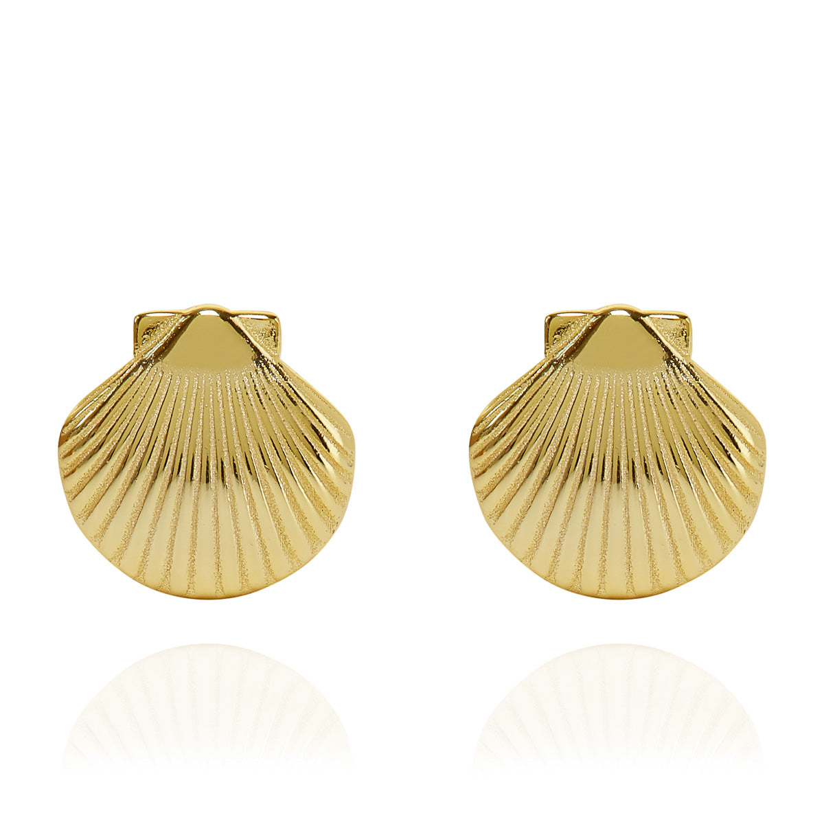 Clam Shell Stud Earrings Gold