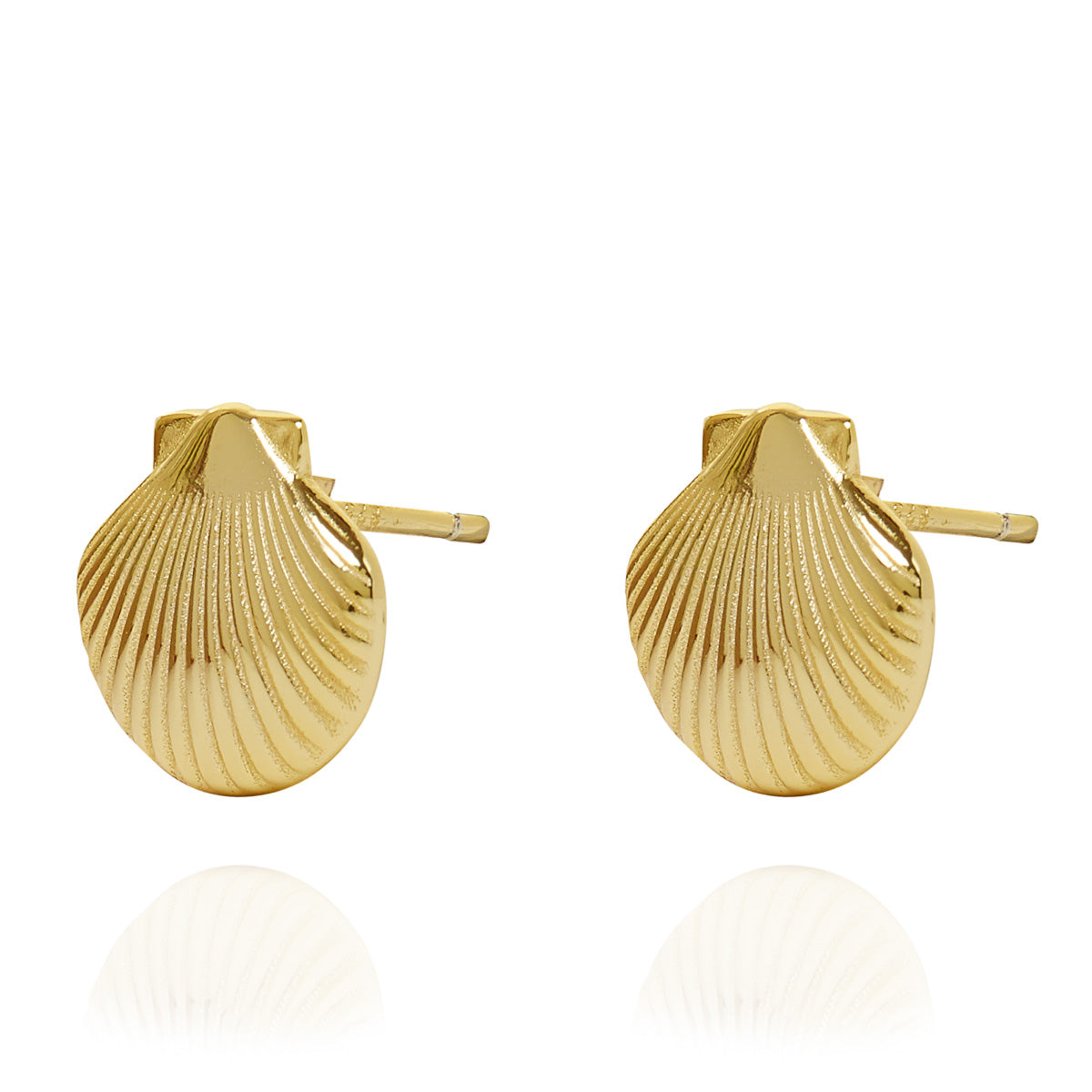 Clam Shell Stud Earrings Gold