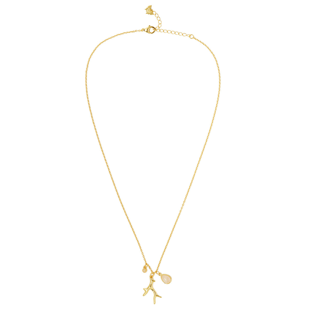 Coral Reef Belize Necklace Gold