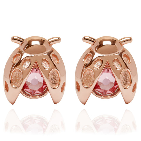 Lady bird earrings store