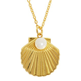 Open Shell Necklace Gold
