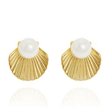 Open Shell Stud Earrings Gold