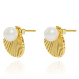 Open Shell Stud Earrings Gold
