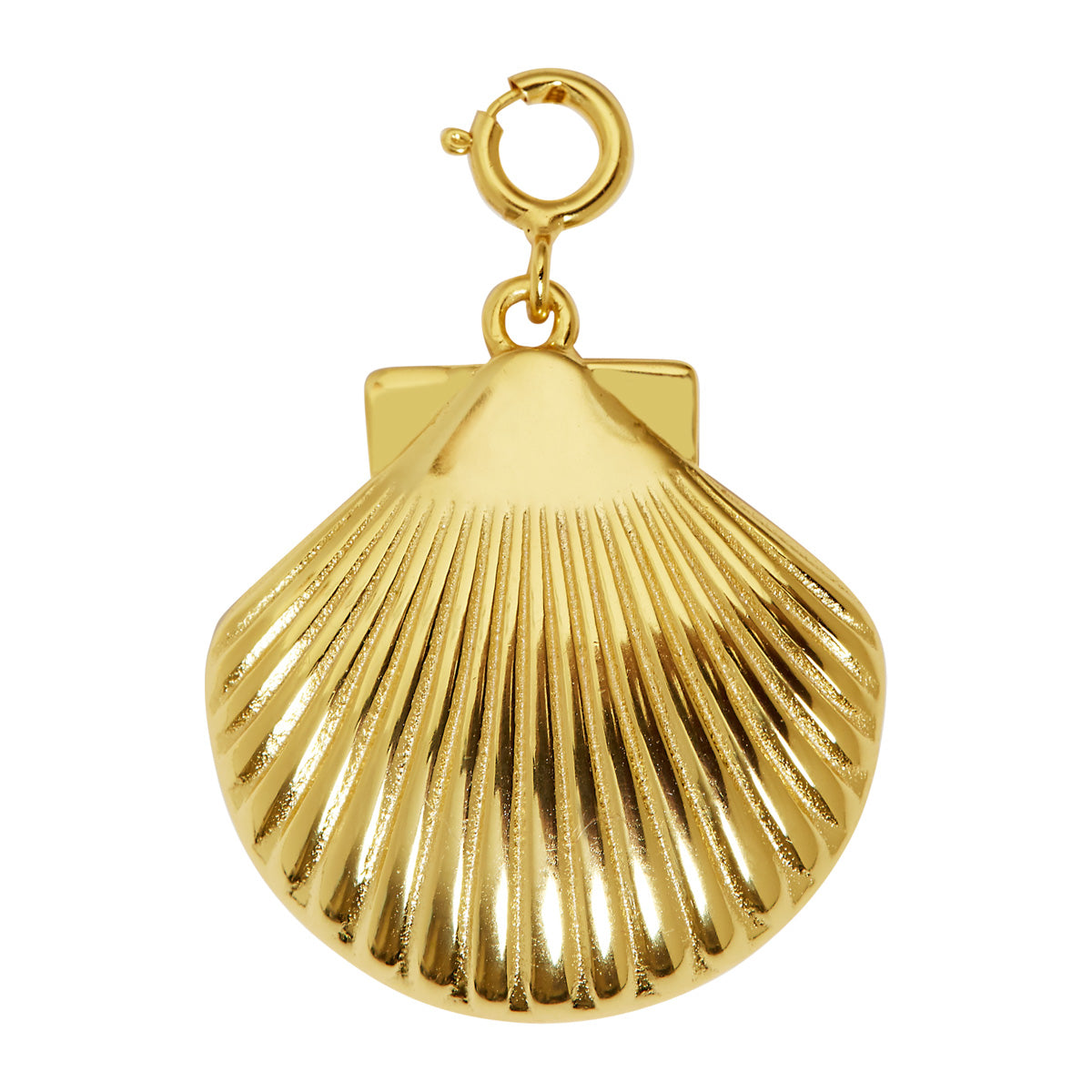 Clam Shell Charm Gold