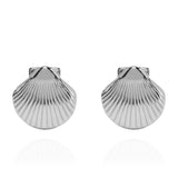 Clam Shell Stud Earrings Silver